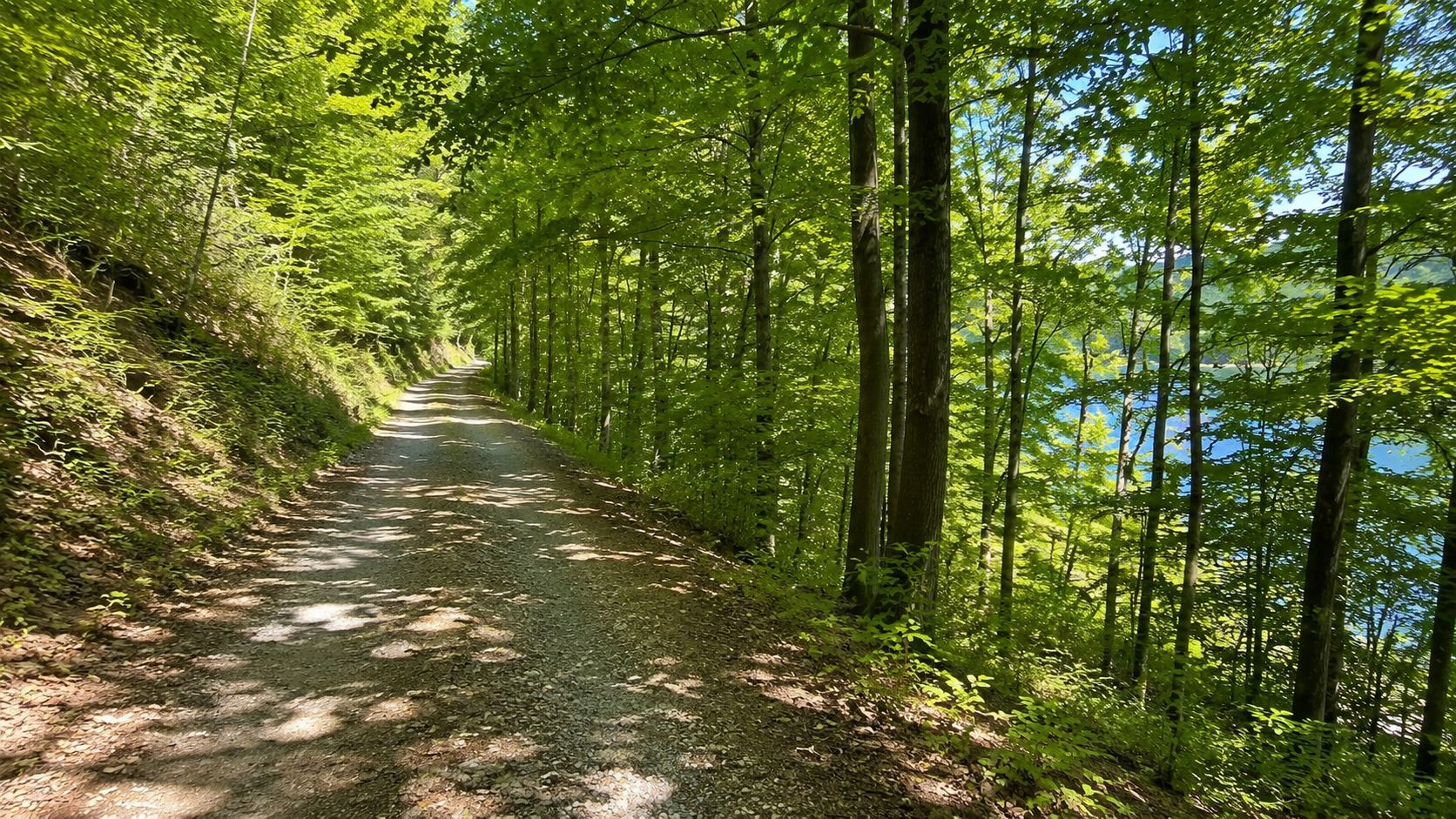 Teren intravilan cu acces la Lacul Tarnița – Somesu Cald - Poză 3