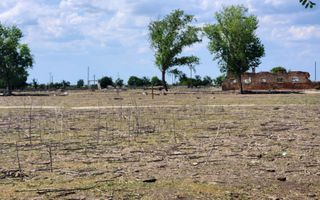 Teren intravilan -Jimbolia zona Kikindei - Poză 17