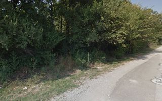 Teren de vânzare la padure Balotesti - Poză 3