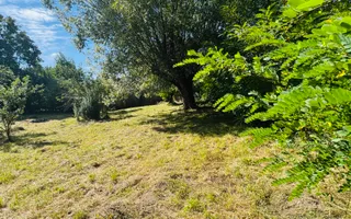 TEREN INTRAVILAN 3234 MP LEREȘTI VOINEȘTI ARGEȘ - Poză 11