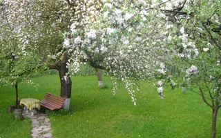 CASĂ BOIERASCĂ DE VÂNZARE | TEREN 1.524 MP | BREAZA, ULTRACENTRAL - Poză 16