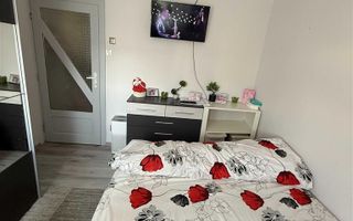 Apartament de Vanzare 2 camere COTUL--MIC(malul Timisului). - Poză 9