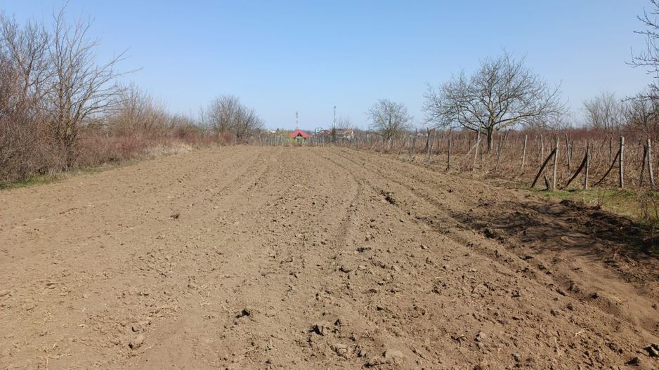 Teren extravilan 2400 mp in Afumati - Poză 3