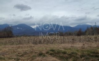 Teren extravilan de vanzare - Arpasul de Sus - Poză 5