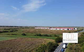 Teren PUZ Aprobat Pretabil Hale | 55.000mp - Park Industrial Sanandrei - Poză 7