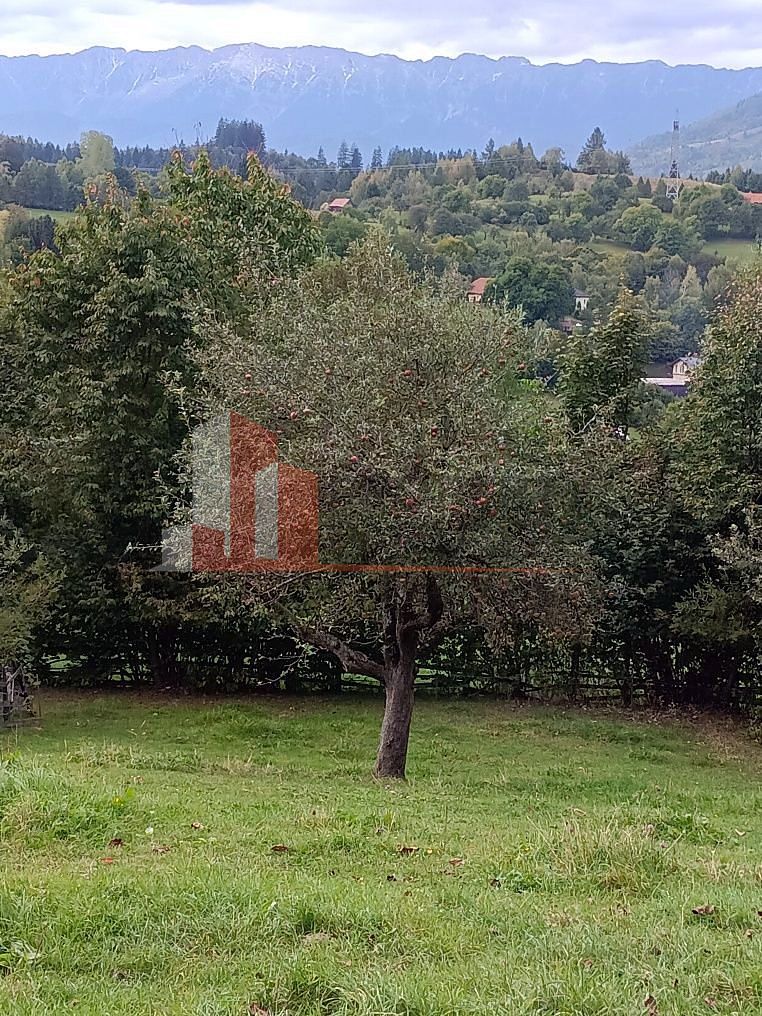 Teren intravilan 1.300 mp | Vedere Piatra Craiului | Bran Poarta - Poză 8