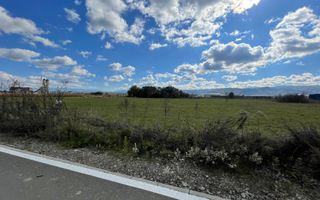 Teren industrial de vânzare în Cristian – 6.000 mp, deschidere la drum asfaltat - Poză 2