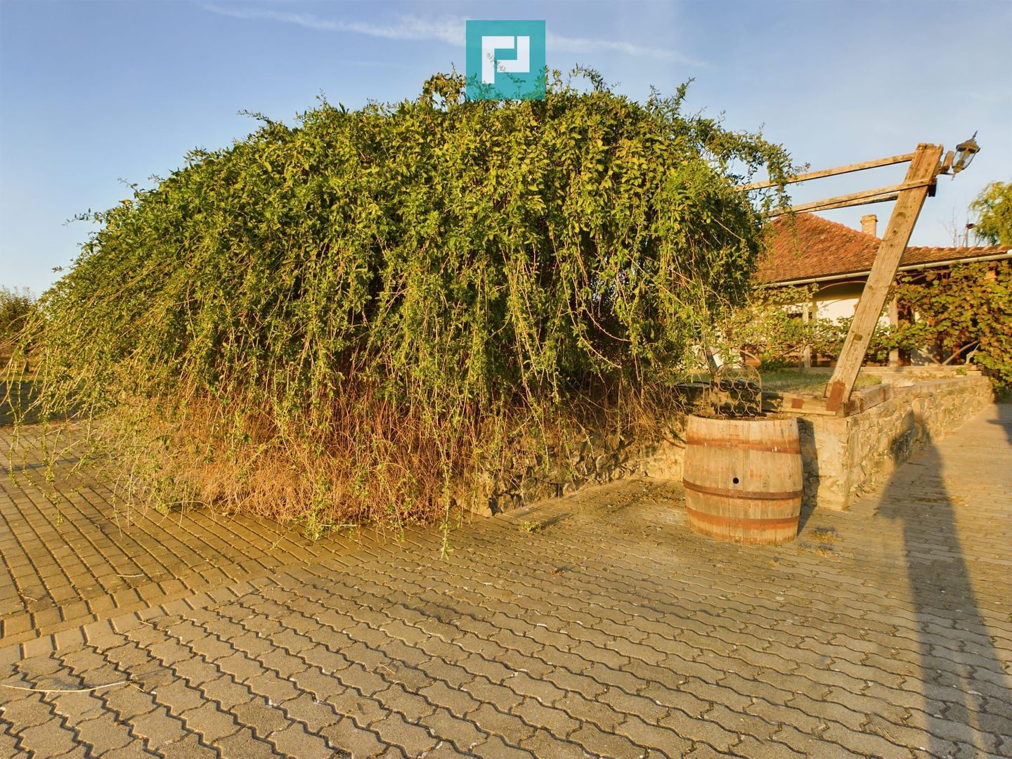 Spațiu comercial - Crama Pivnițele Birăuaș - Poză 34