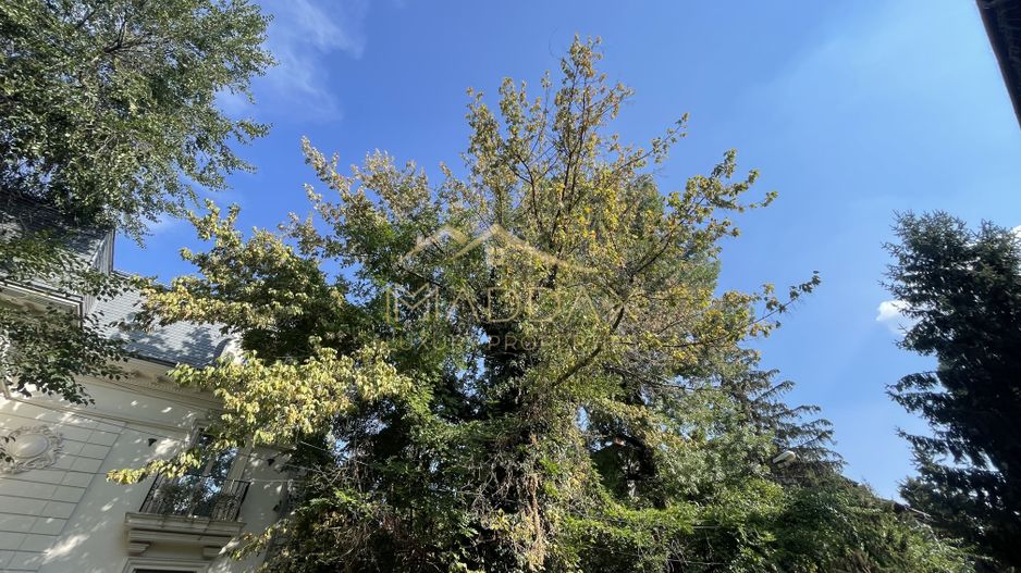 Teren Intravilan ***418mp*** posibilitate constructie S+P+2E+3ER // Floreasca - Poză 2