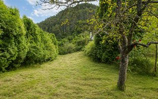 TEREN INTRAVILAN 1.498 MP CU CONSTRUCTIE | 3 FRONTURI STRADALE | SCHEI - Poză 8