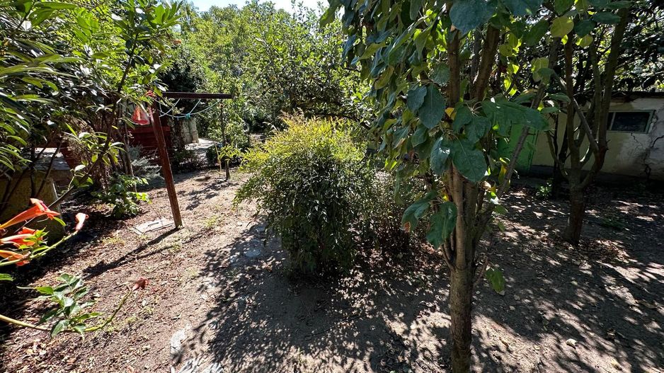 Casa cu teren 1394 mp zona Mehala - Poză 2