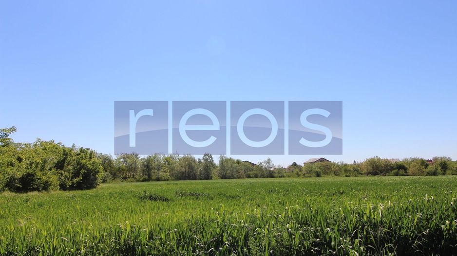 Teren 32000 mp Racari deschidere 82 mp - Poză 7