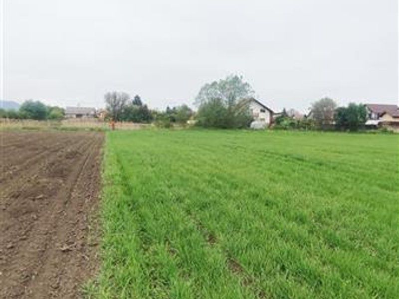 teren intravilan Stupini-Albinelor - Poză 5