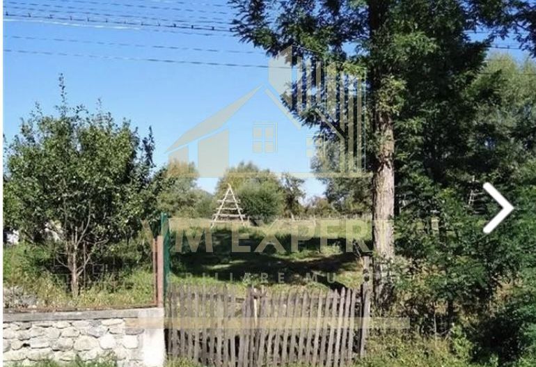 TEREN INTRAVILAN 5000 MP, BRADULET, ARGES - Poză 1