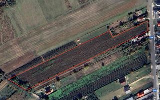 Teren intravilan de vanzare | 12.650 mp | Ghirdoveni, | COMISION 0% - Poză 2