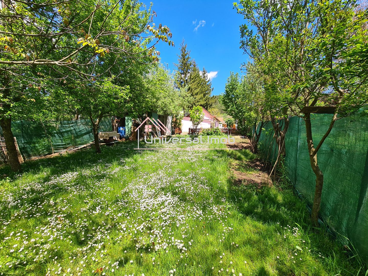 Casa cu 1 camera in Vlaha - Poză 2