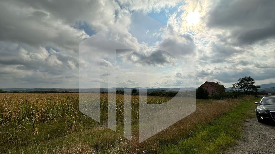 Teren cu deschidere la DN | 10.000 mp | Apoldu de Sus | Intravilan - Poză 2