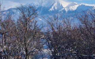 Teren | Extravilan | 3404 MP | Sadu | Oportunitate Investiții - Poză 2