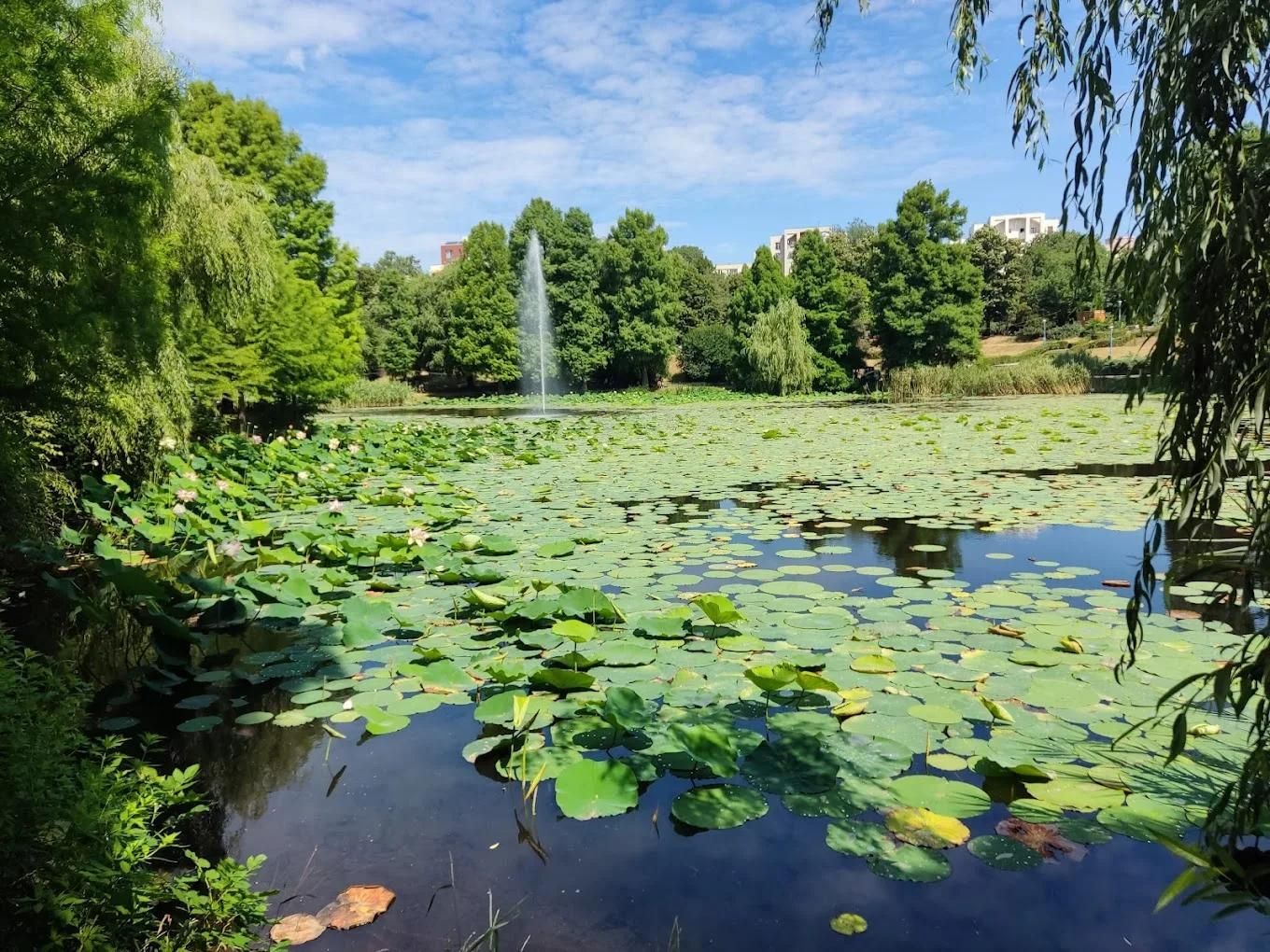 2 camere vedere Parcul Circului - parter | Lacul Tei-Barbu Vacarescu - Poză 11