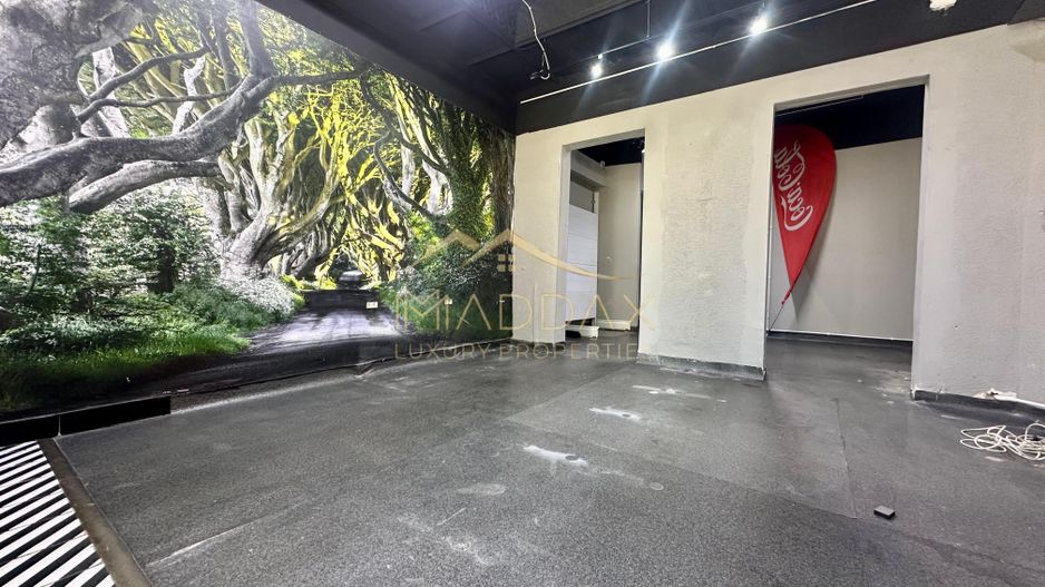 Spatiu comericial de inchiriat / Calea floreasca/ parter stardal - Poză 9