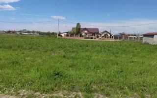 🌿 Teren de vânzare – Răcari, Str. Mestecenilor - Intrarea cu Tei - Poză 11