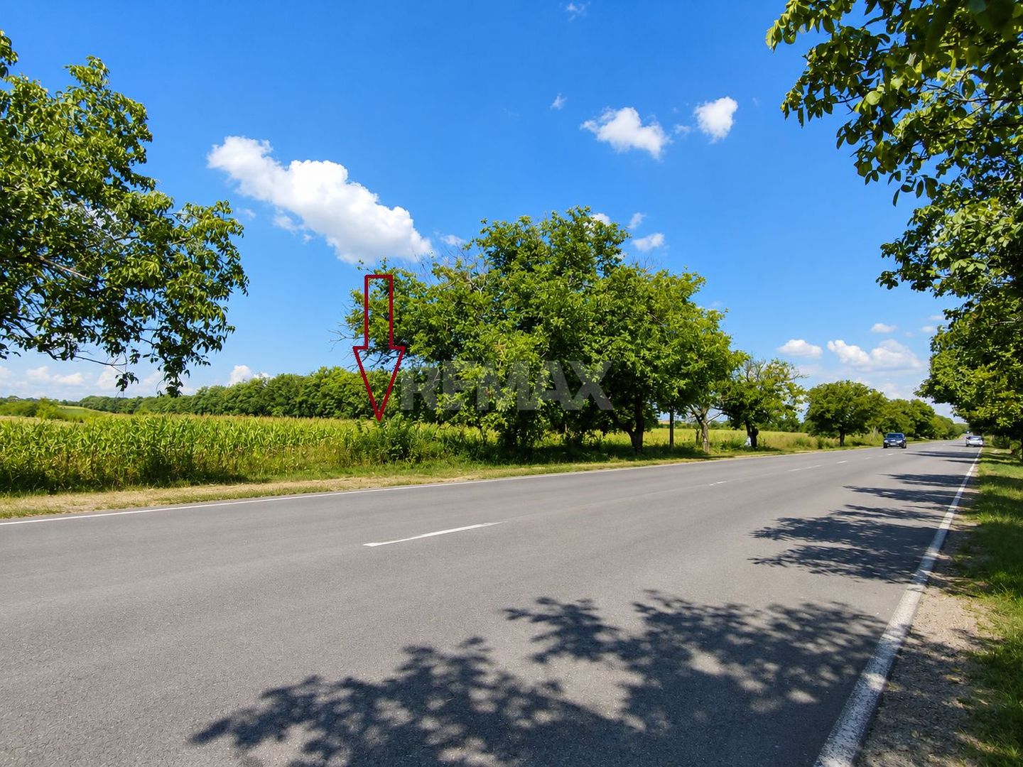 Teren pentru construcții – 24 ari | Prima linie | Chetrosu, Anenii Noi - Poză 6
