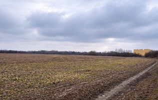 Teren Gruiu Snagov investitie vile REDUCERE