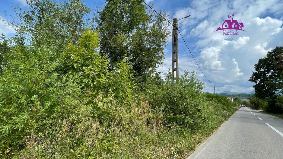 Teren de vanzare in Meziad. - Poză 4