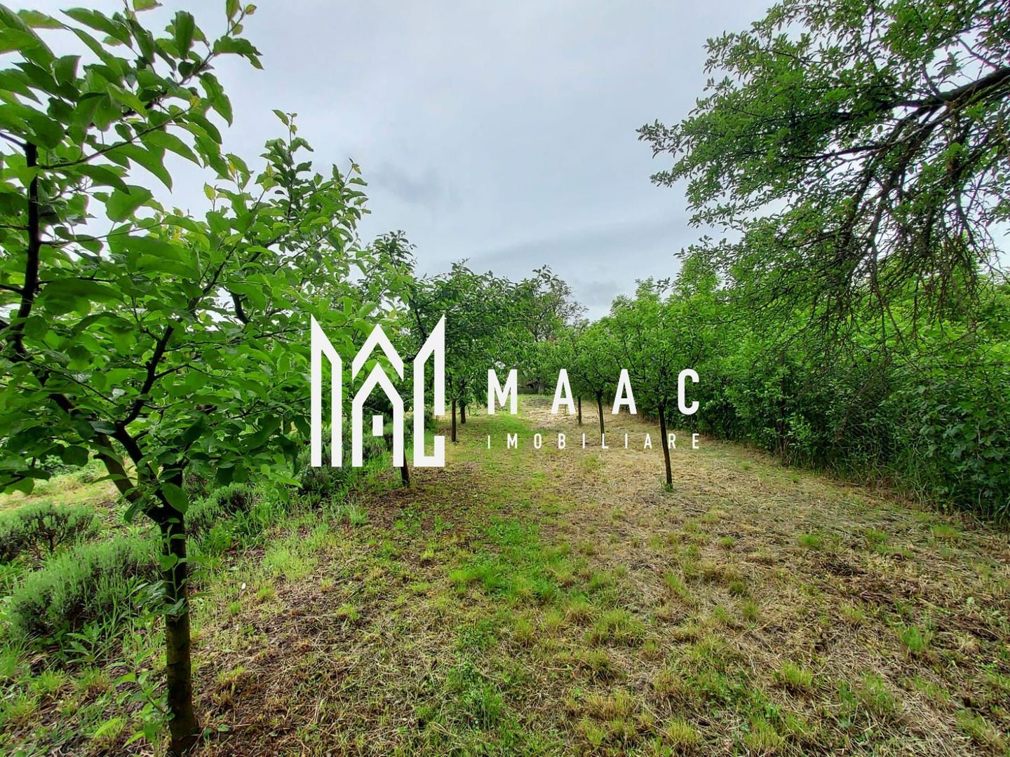 Casa | 1331 mp Teren | Miercurea Sibiului | - Poză 11