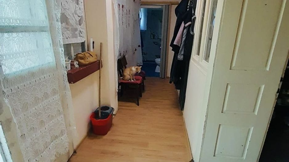 Casă + 2870 mp teren – oportunitate Ciocaia - Poză 8