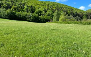 Teren Intravilan in Tocile-priveliste deosebita - Sadu - Sibiu - Poză 7