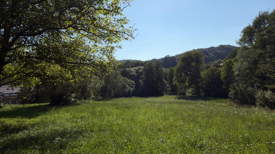 Teren Parau | Valea Danului, Curtea de Arges | Vidraru | - Poză 1