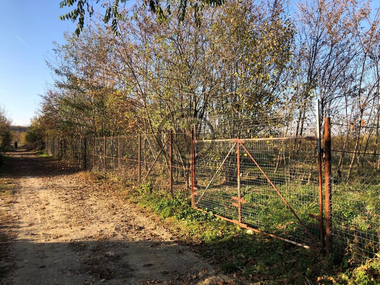 Teren intravilan de vanzare | 12.650 mp | Ghirdoveni | Comision 0% - Poză 9