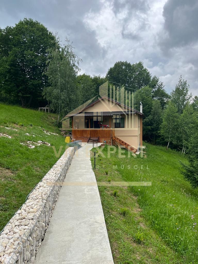 CASA 3 CAMERE, TEREN 3100 MP, ALBESTI DE MUSCEL, ARGES - Poză 1