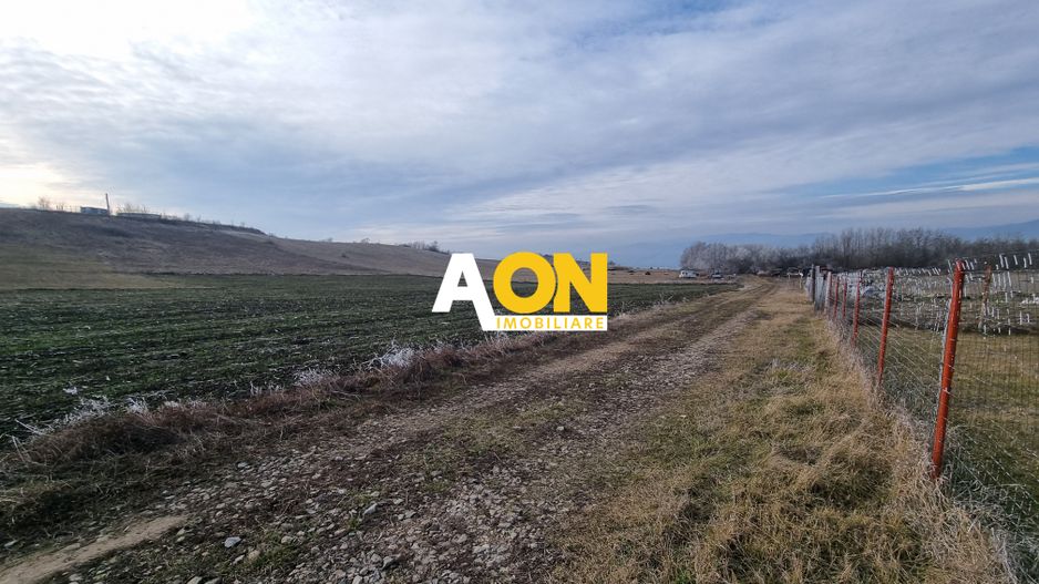 De vanzare teren intravilan 954mp, Oarda de Sus - Poză 5