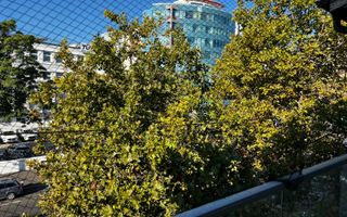 Spatiu Birou Stradal Zona Plevnei-Basarab 55mp - Poză 9