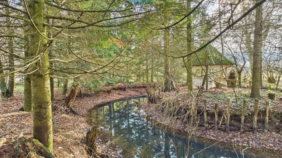 Casă P+E+M cu teren 8163 mp – Roşia Nouă (Petriş) - Poză 12