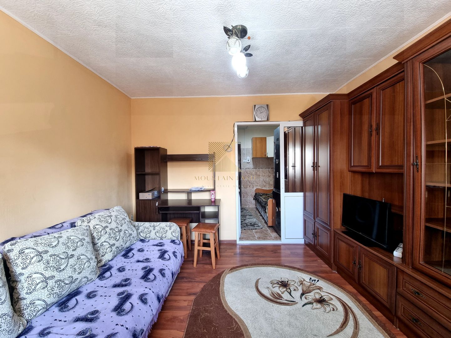 Garsoniera 24 mpu | mobilata | etaj 1 | Zizinului - Poză 6