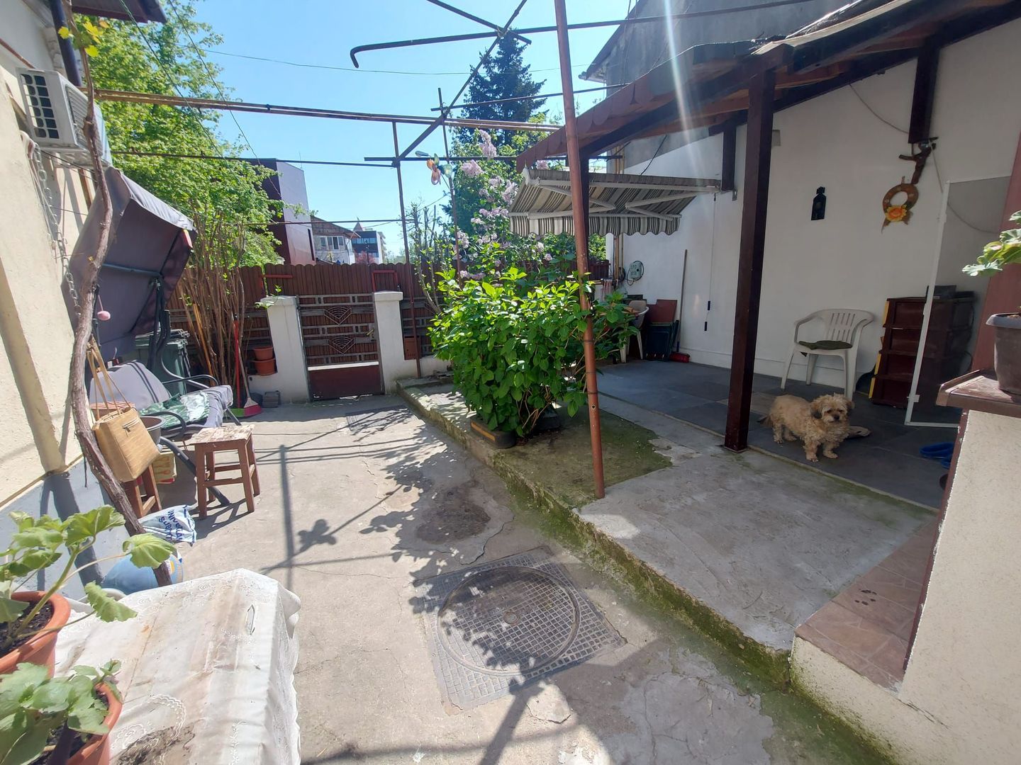 Casa curte / 2 camere / Banu Manta / Titulescu / Primăria sectorului 1 - Poză 5