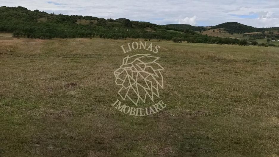 TEREN INTRAVILAN 5000 mp-ideal case,hale-Livezile PRET PROMO! - Poză 3