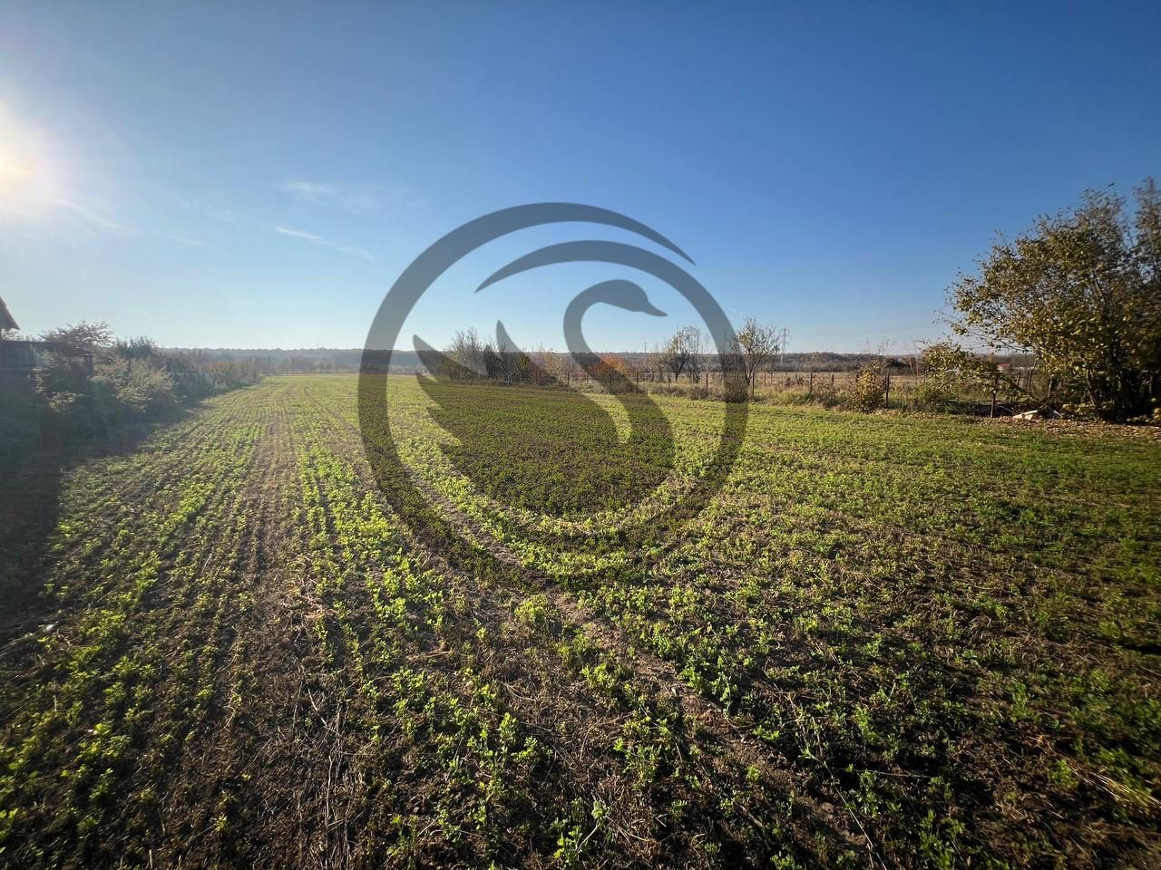 Teren intravilan de vanzare | 12.650 mp | Ghirdoveni, | COMISION 0% - Poză 3