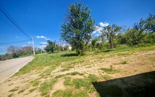 Teren central 2000 mp intravilan Mioveni - Poză 2