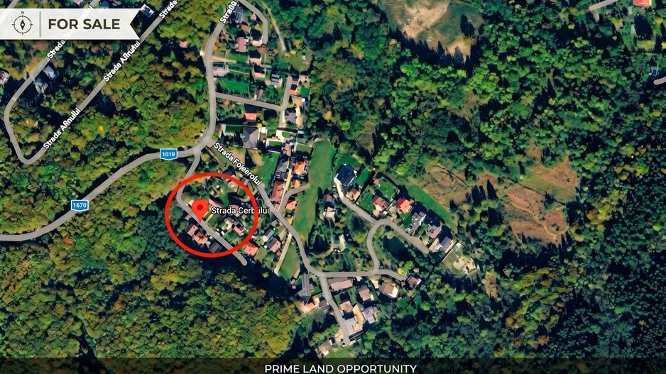 Teren intravilan pentru constructie casa individuala, Faget - Poză 3
