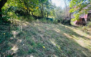 TEREN INTRAVILAN 3234 MP LEREȘTI VOINEȘTI ARGEȘ - Poză 21