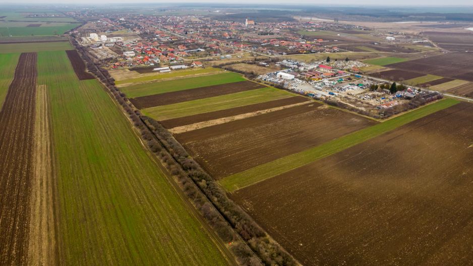 Teren 5000 mp ZĂDĂRENI - Poză 5