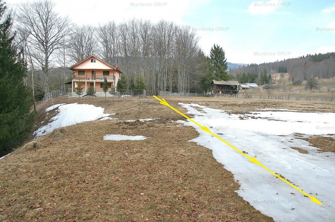 VALEA DOFTANEI - Traisteni, langa Conacul Dascalu, vanzare 2.537 mp. teren - Poză 6