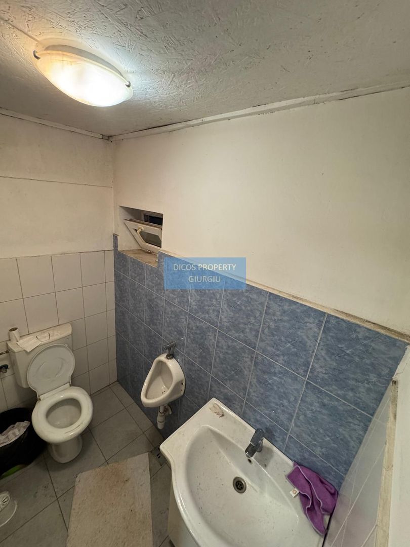 Proprietate industrială de vânzare sau închiriere – Comuna Frătești - Poză 7