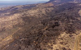 Teren în Ghioroc pe deal - Poză 6