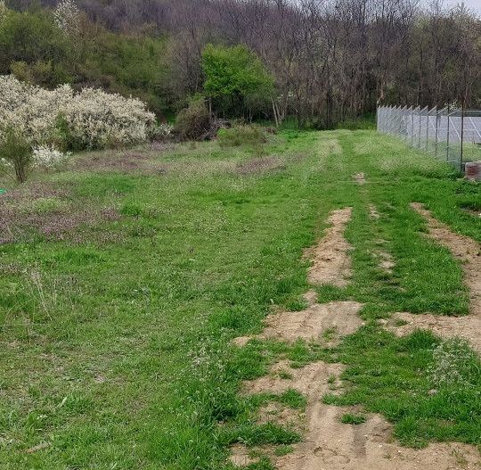 Teren Topoloveni - 3670 mp - langa padure, aproape de Centrul orasului  - Poză 4