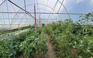 Casa 4 camere, anexe, recent renovata, foisor, teren 781mp, Izvoru, DB - Poză 12